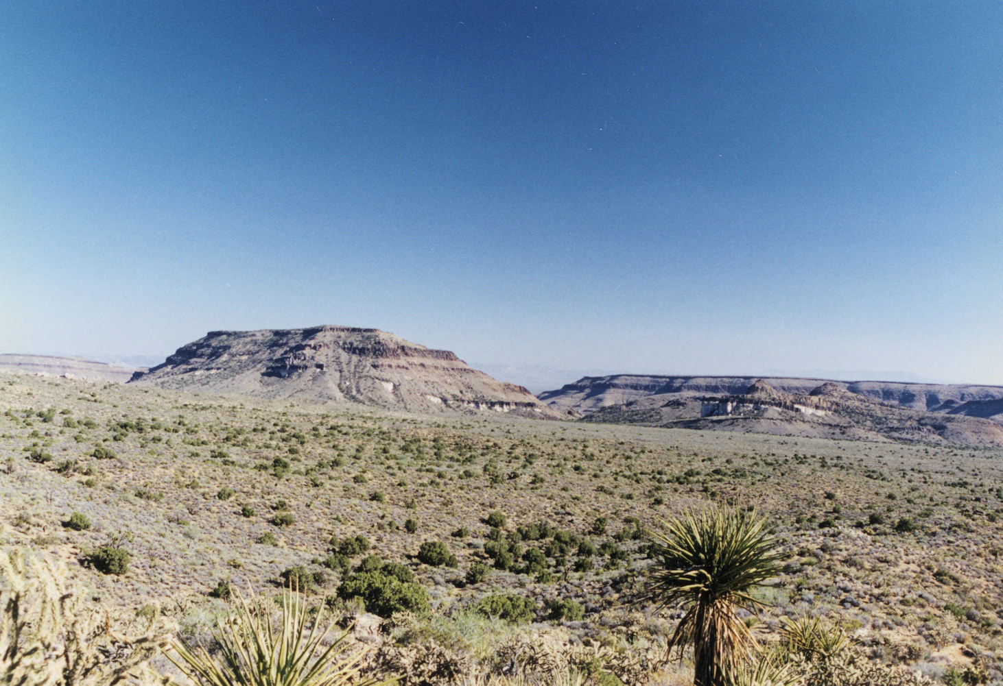 California, San Bernardino County, Wild Horse Canyon