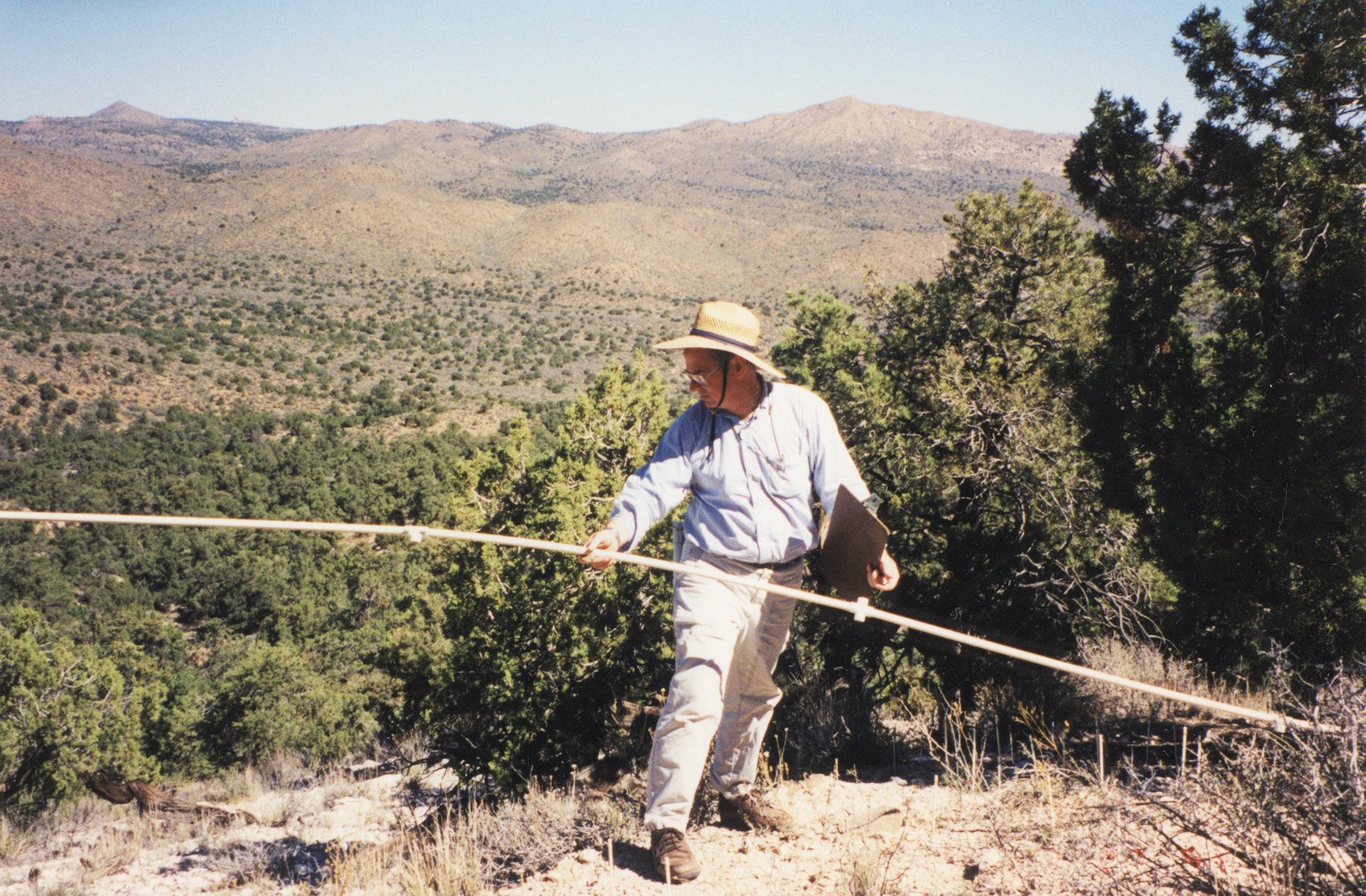 California, San Bernardino County, Wild Horse Mesa