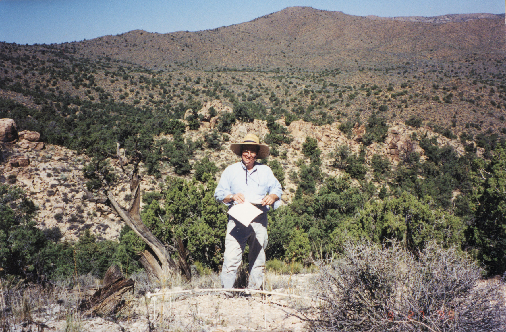 California, San Bernardino County, Wild Horse Mesa