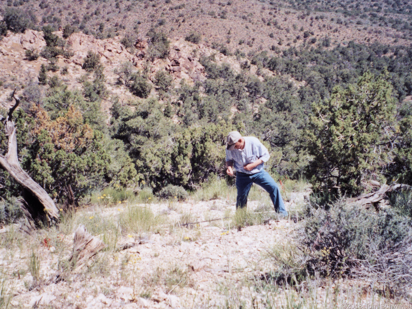 California, San Bernardino County, Wild Horse Mesa