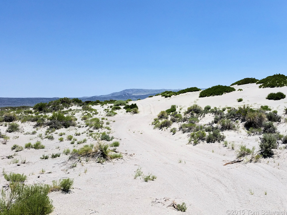 California, Mono County, Mono Valley, 01N54