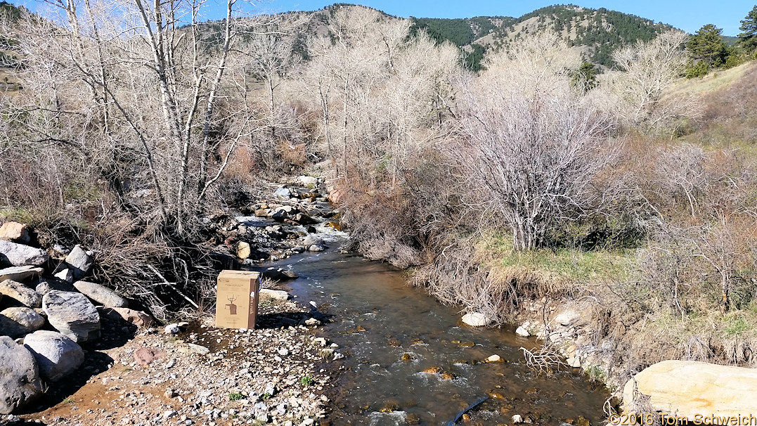 View upstream of Coal Creek.