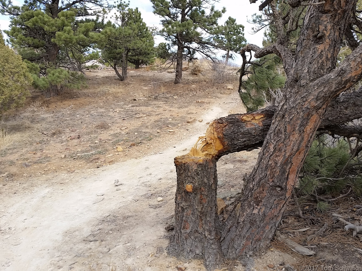 Colorado, Jefferson County, Tin Cup Ridge