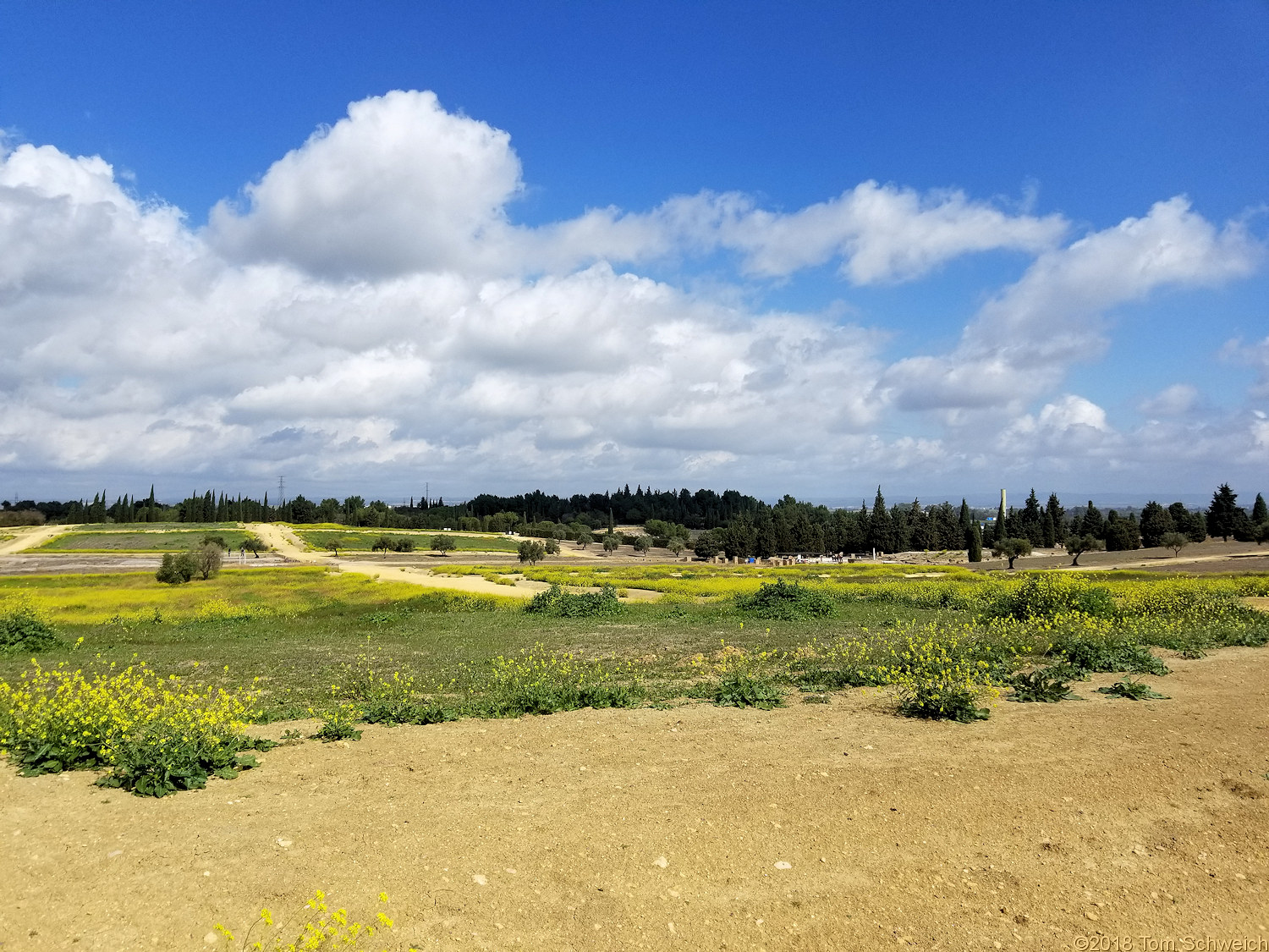 Spain, Andalucia, Italica