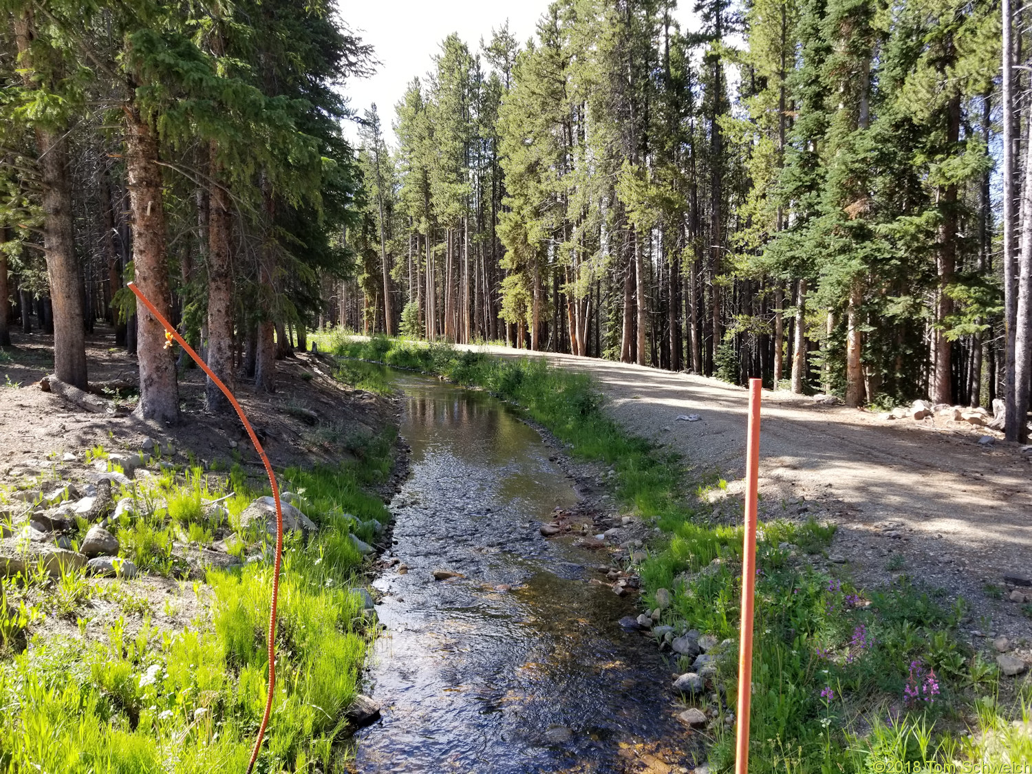 Colorado, Lake County, Burton Ditch