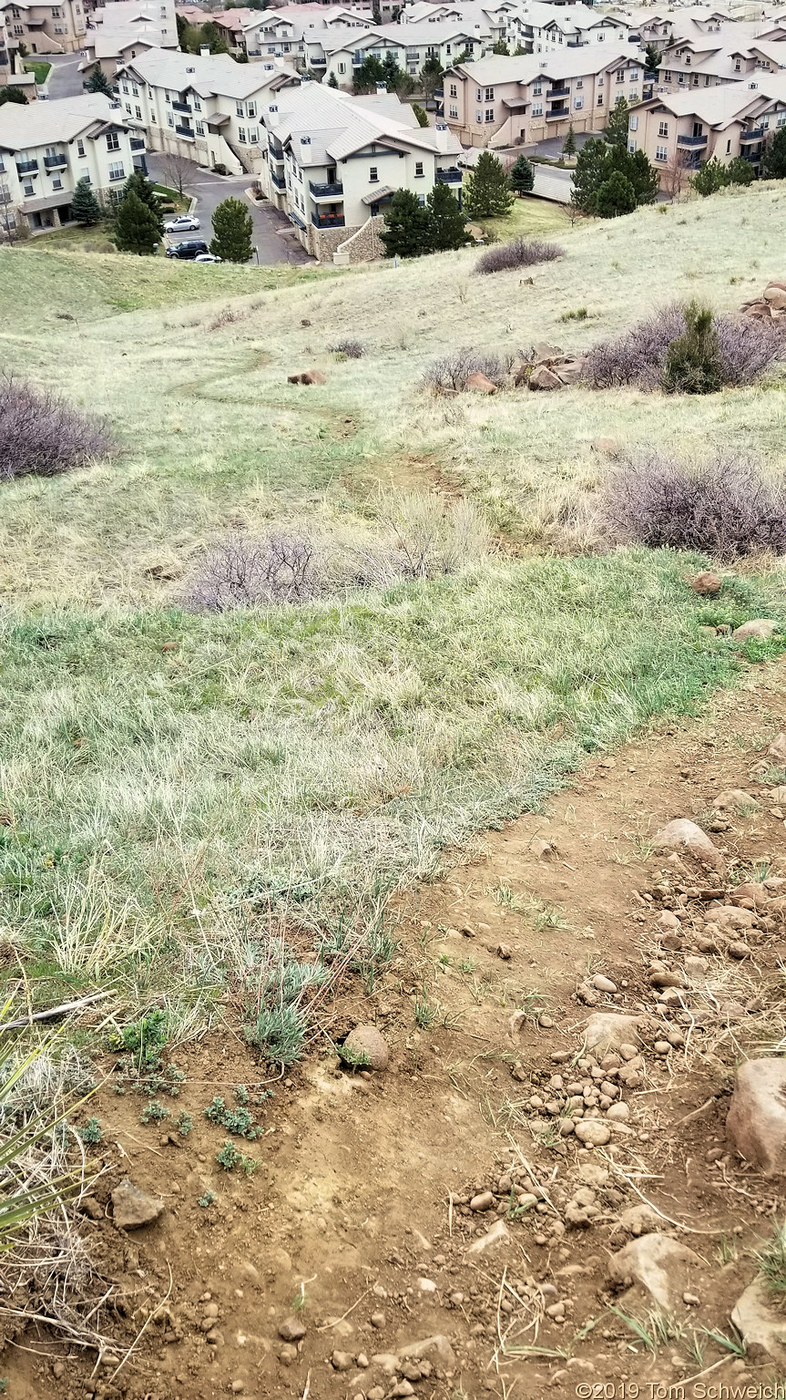 Colorado, Jefferson County, South Table Mountain, Cretaceous Trail, Tertiary Trail