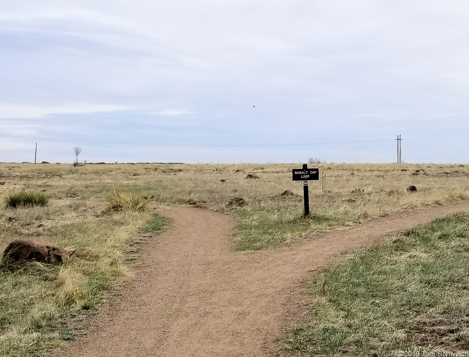 Colorado, Jefferson County, South Table Mountain, Cretaceous Trail, Basalt Top Trail