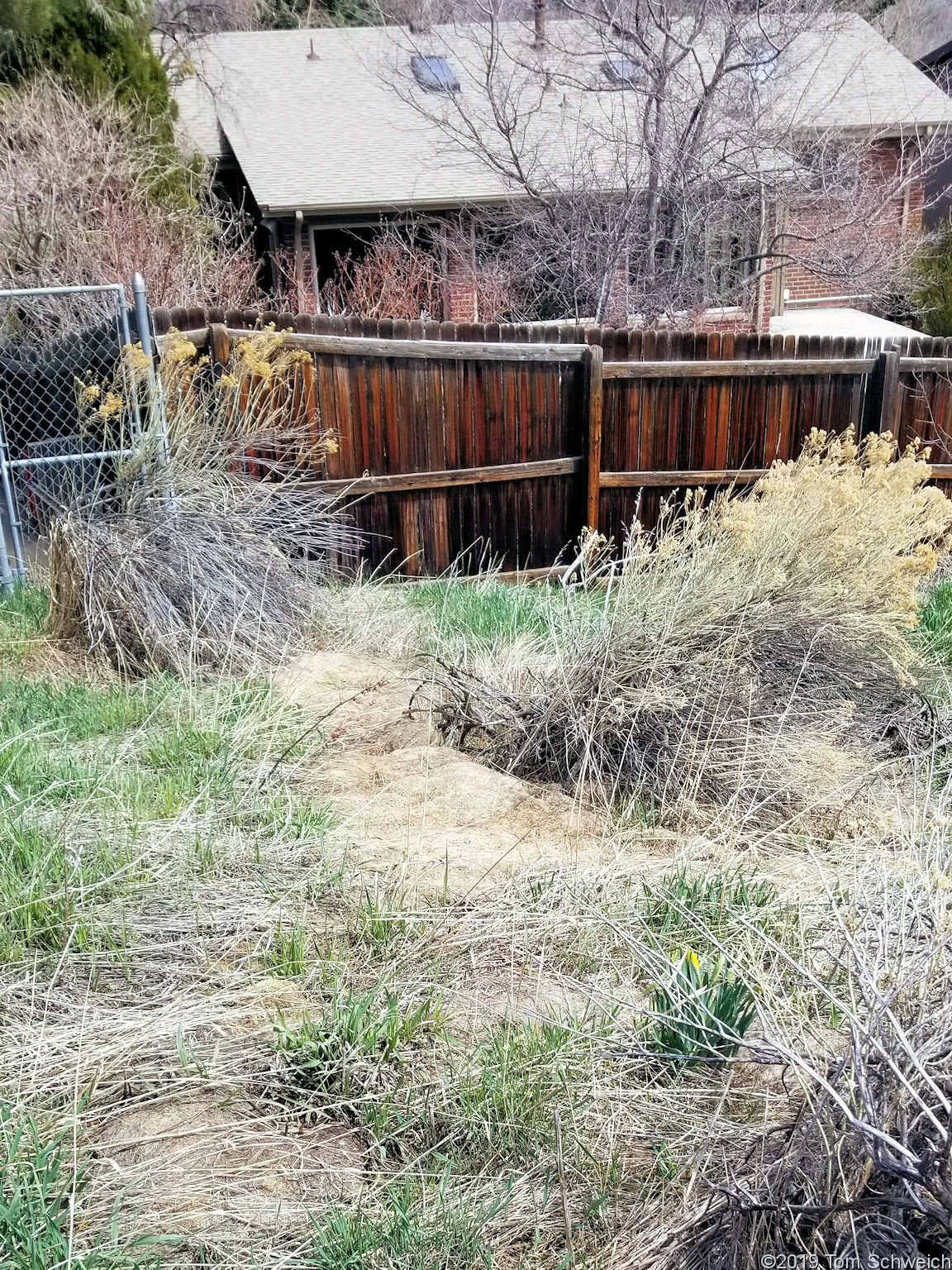 Colorado, Jefferson County, Golden, North Washington Open Space