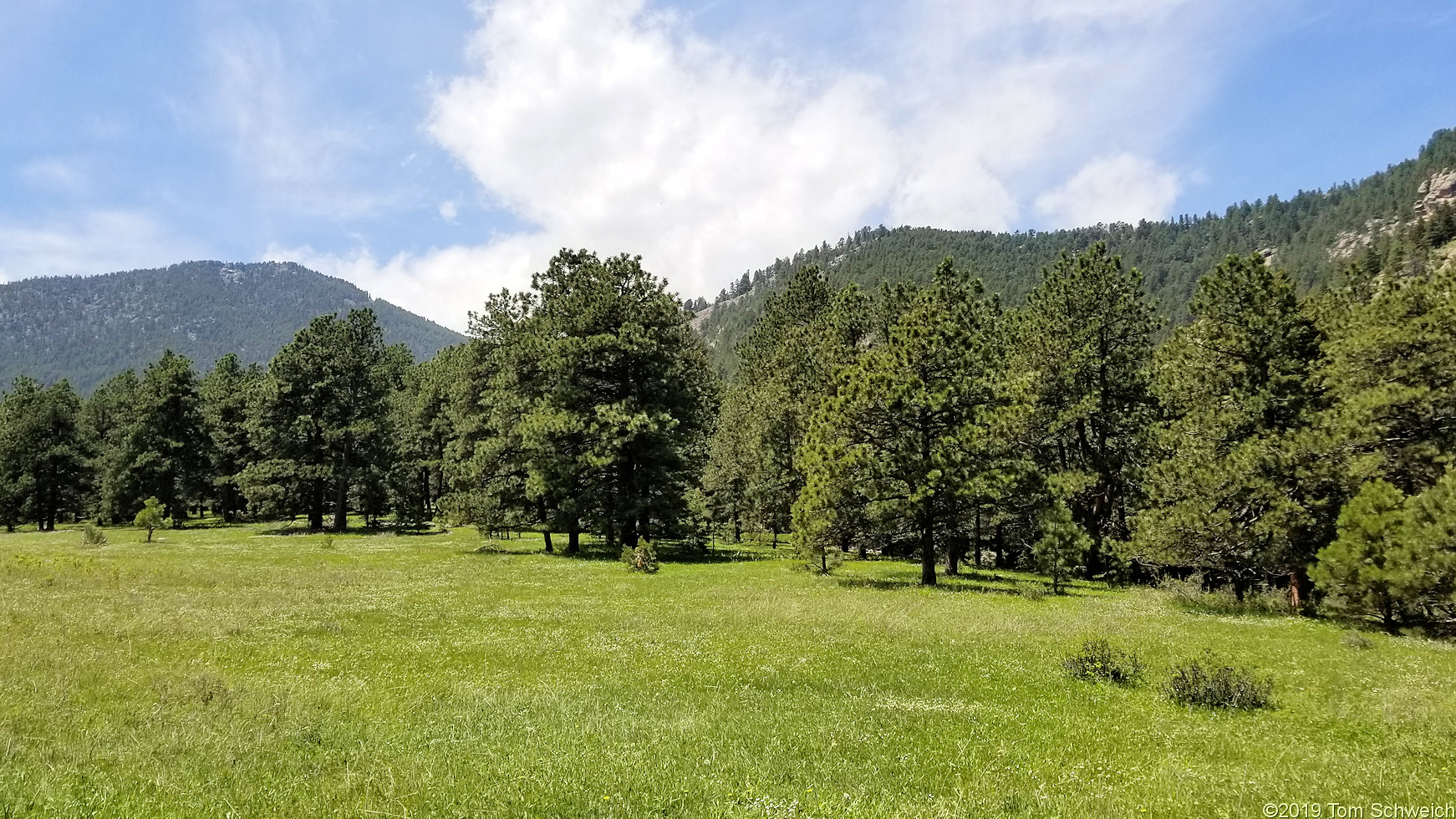 Colorado, Jefferson County, Lippincott Property