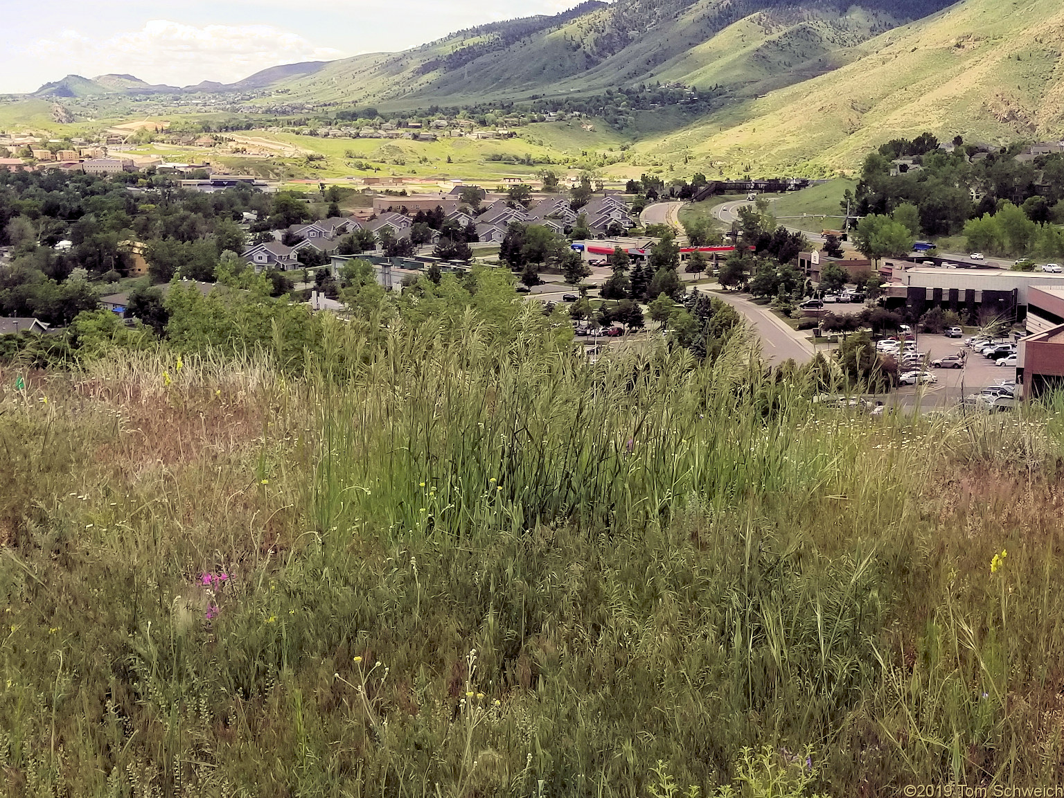 Colorado, Jefferson County, Golden, North Washington Open Space