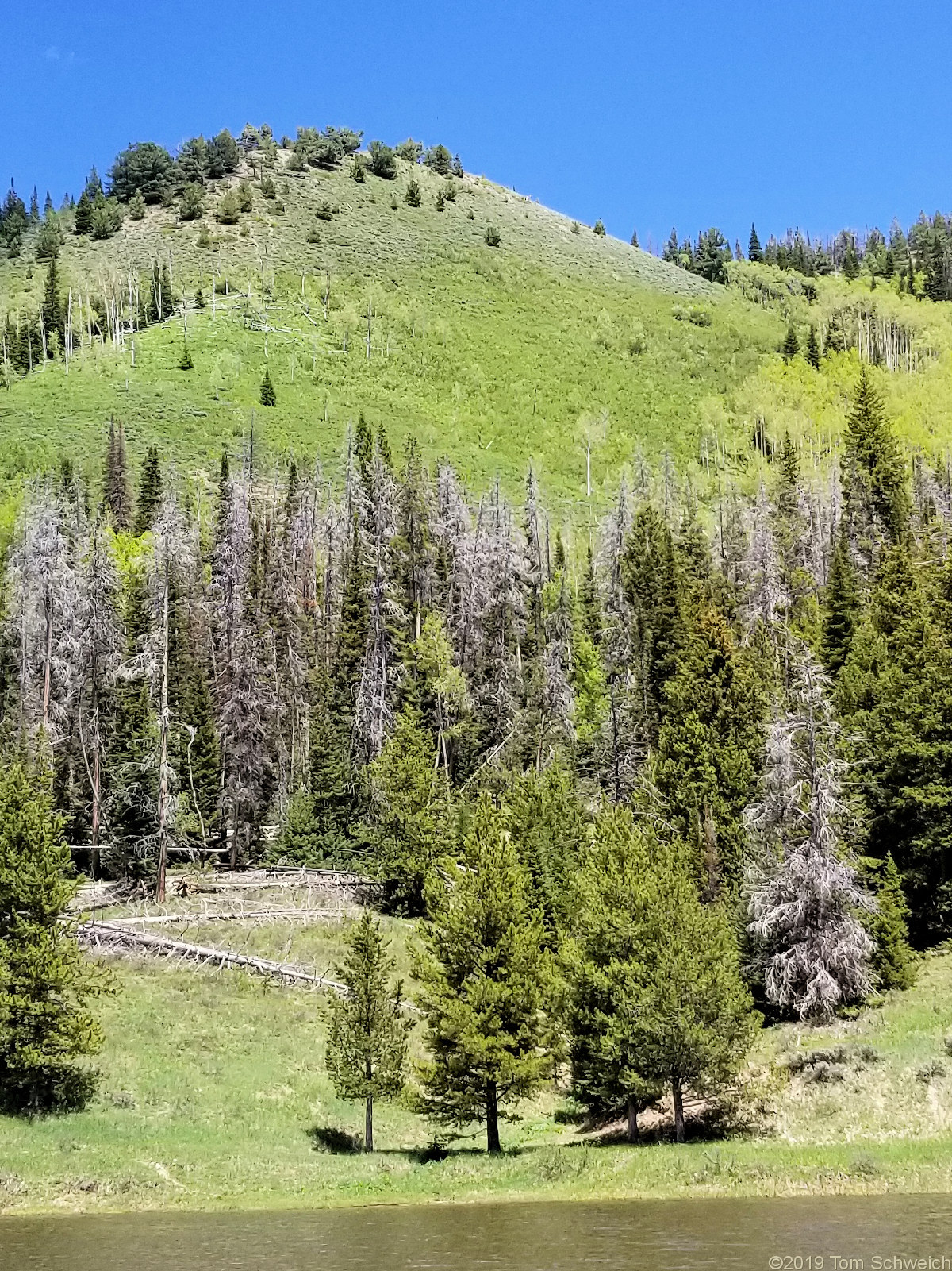 Colorado, Routt County, Hahns Peak Lake