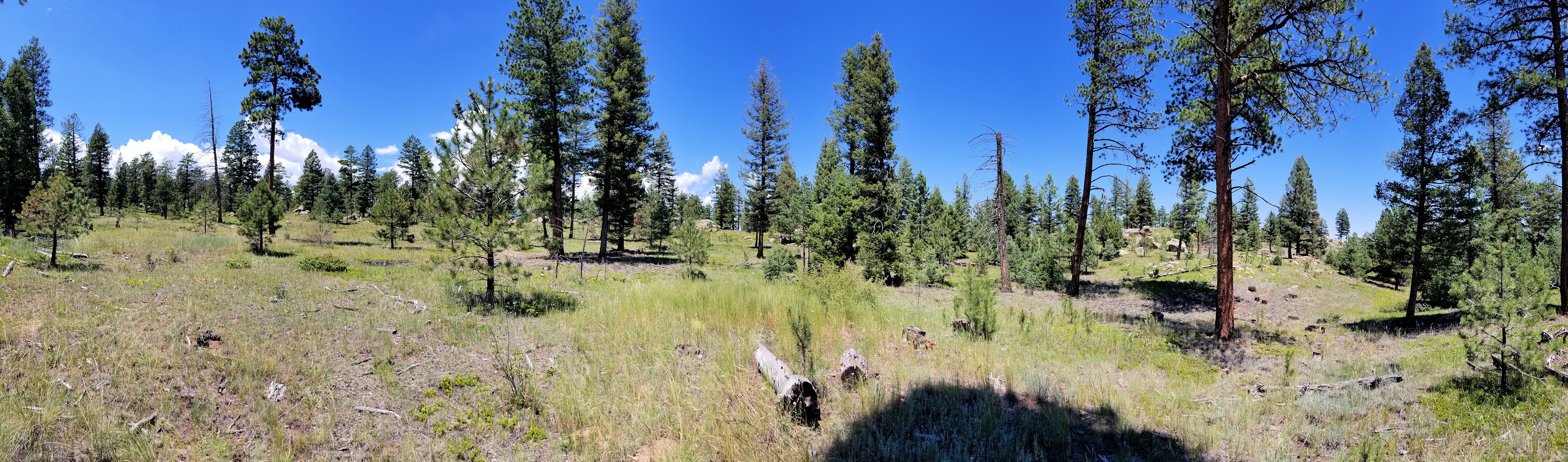 Colorado, Jefferson County, Little Scraggy Peak