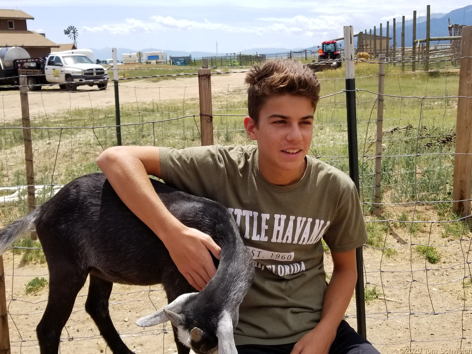 Colorado, Chaffee County, Jumpin' Good Goat Dairy