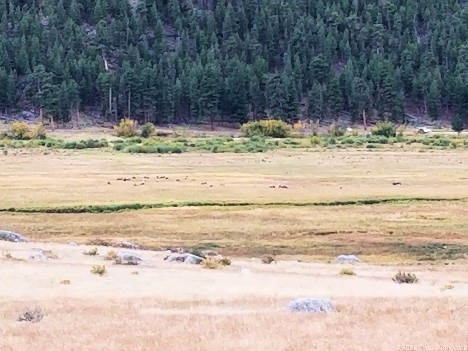 Colorado, Larimer County, Rocky Mountain National Park