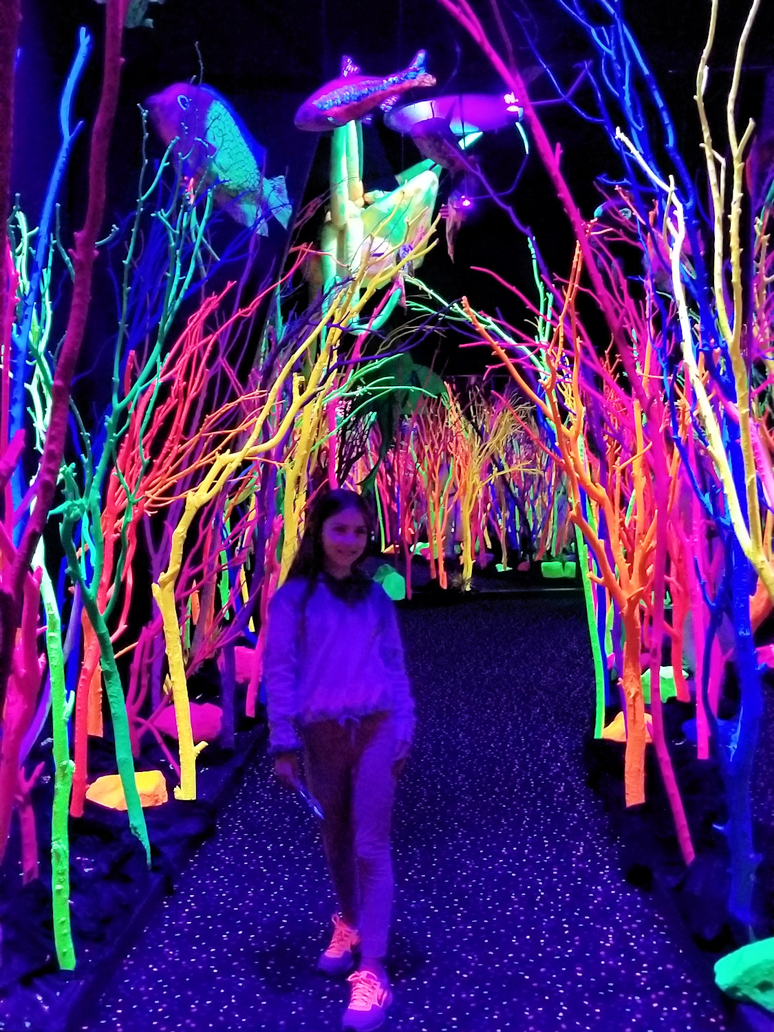 New Mexico, Santa Fe County, Santa Fe, Meow Wolf