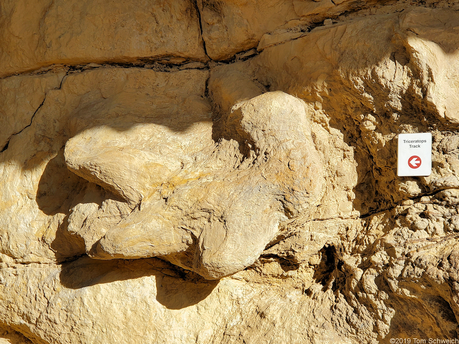 Colorado, Jefferson County, Golden, Triceratops Trail