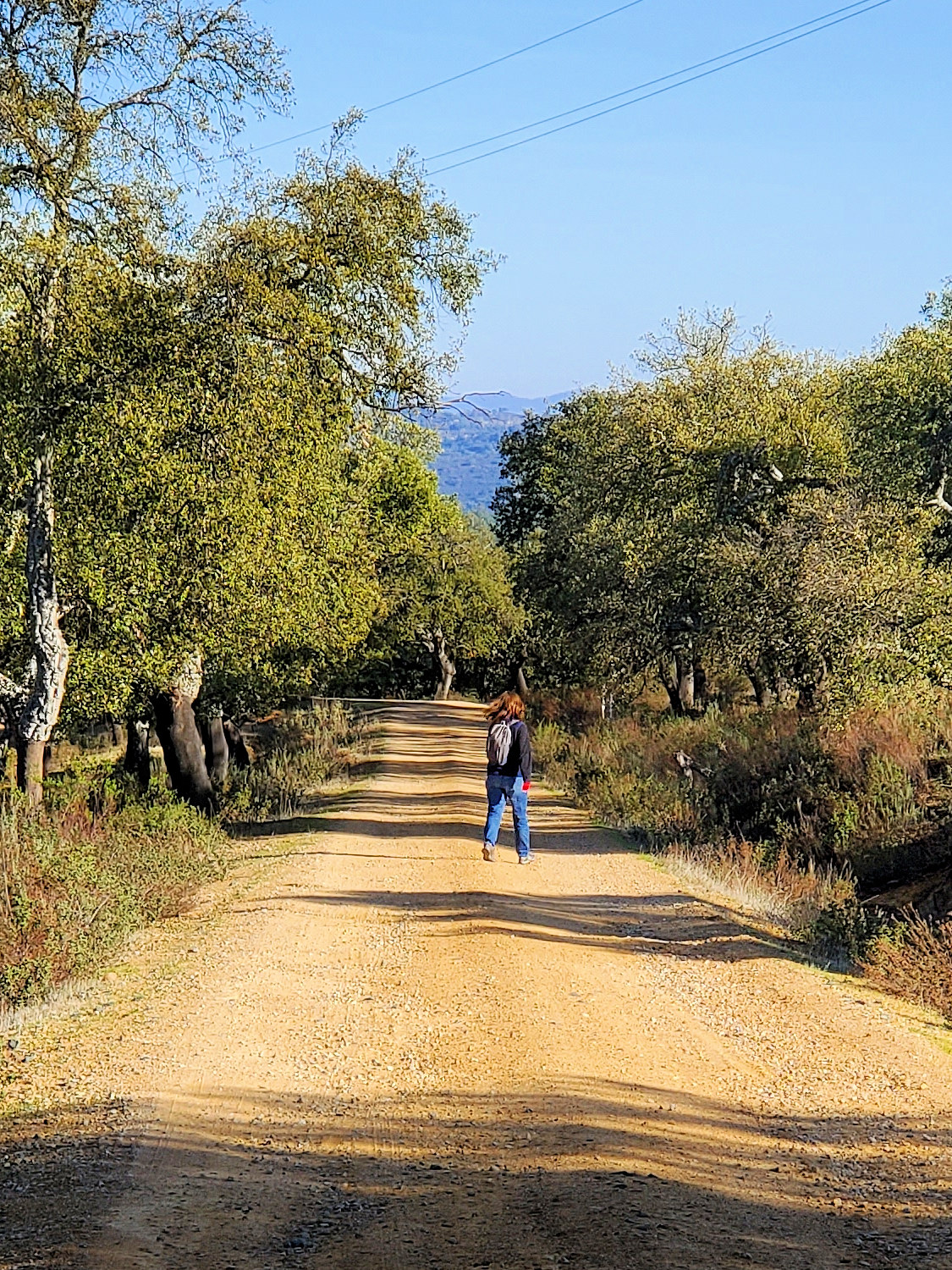 Spain, Andalucia, Sierra Norte