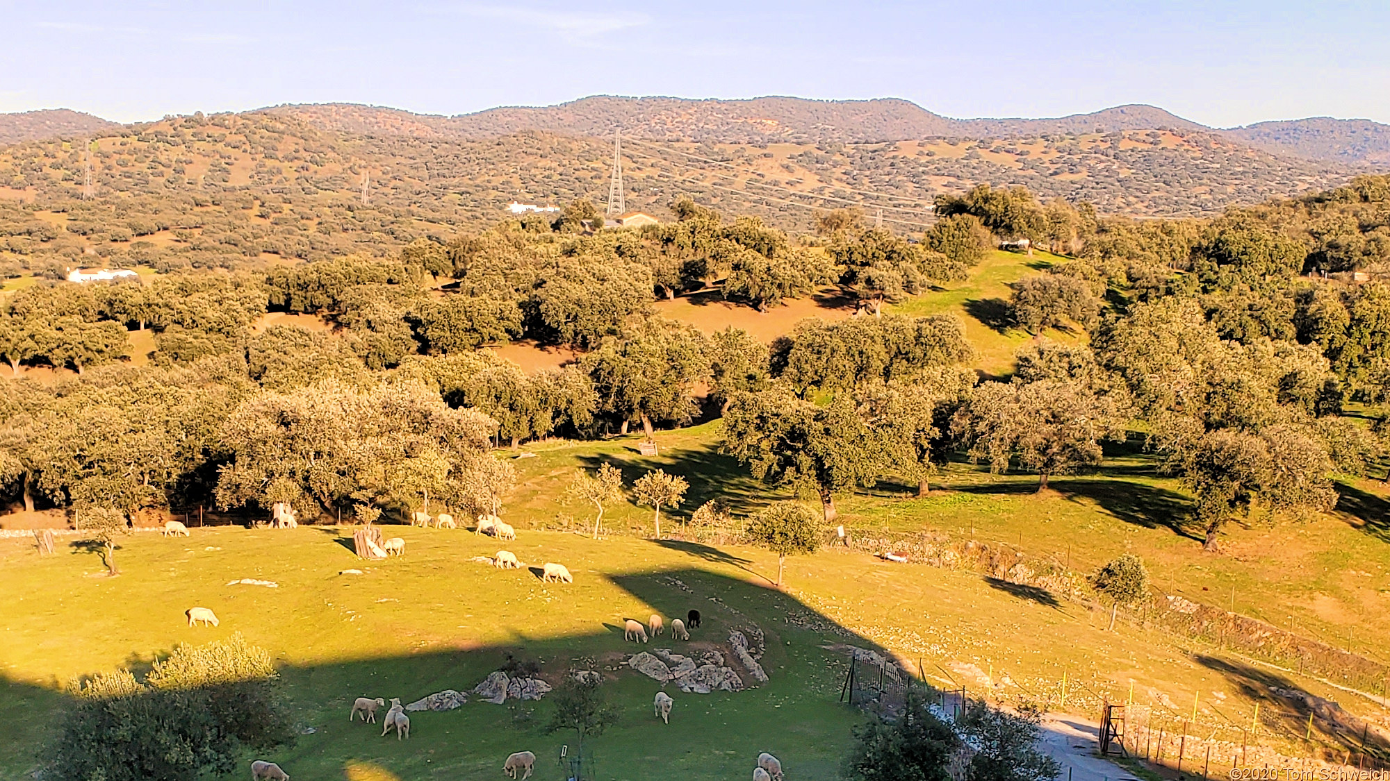 Spain, Andalucia, El Real de la Jara