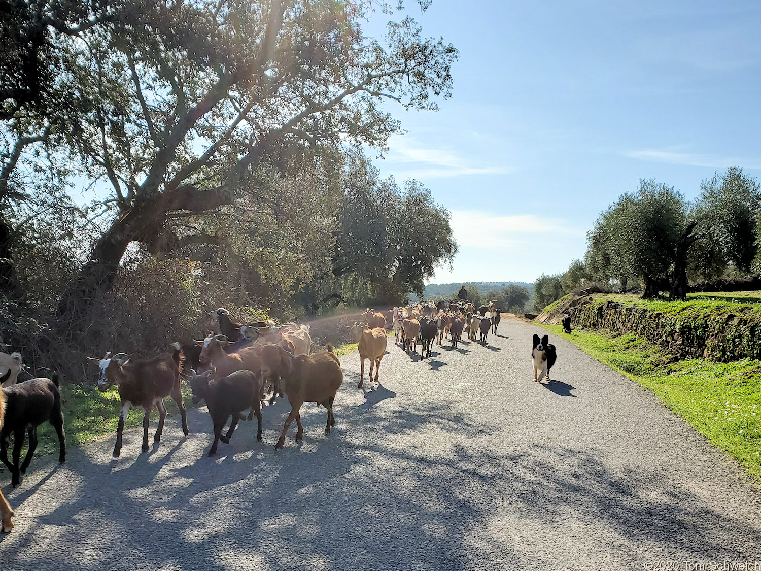 Spain, Extremadura, Santa Lucia del Trampal (Caceres)