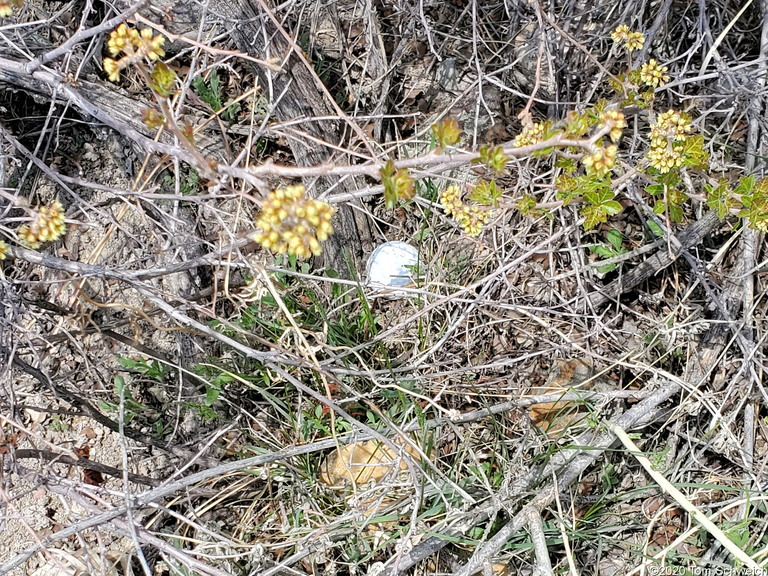 Colorado, Jefferson County, Dakota Ridge