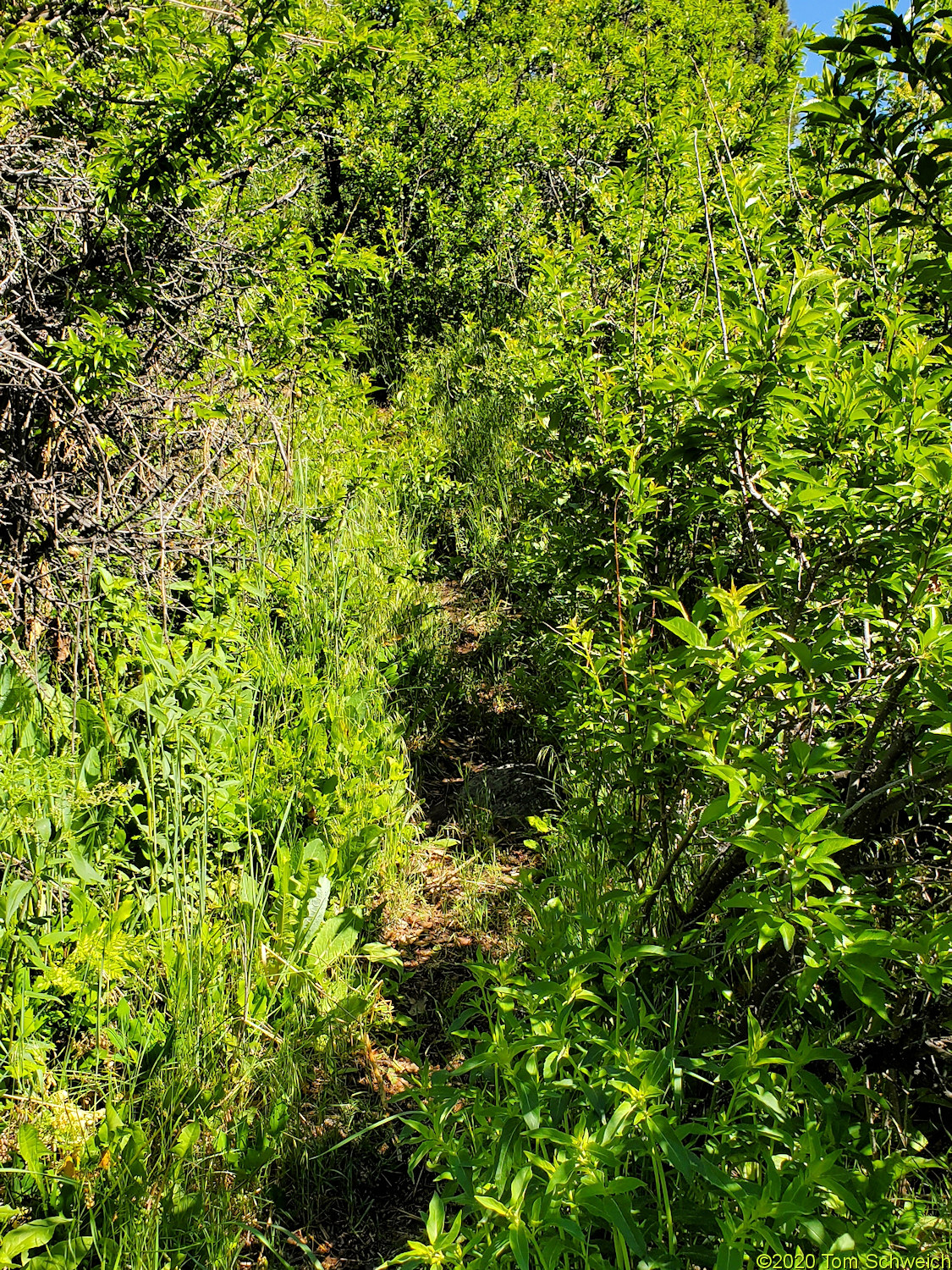 Colorado, Jefferson County, Apex Park