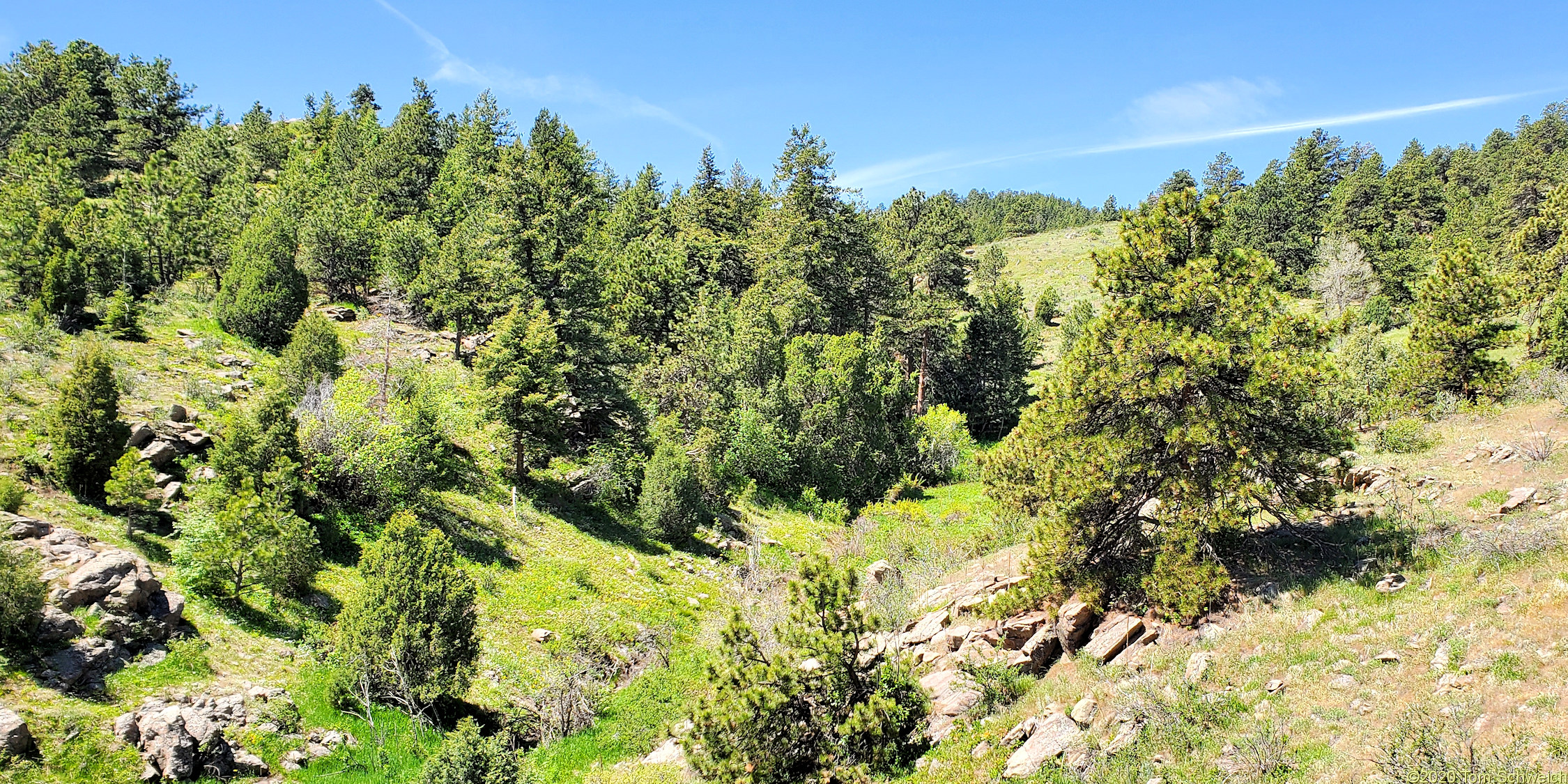 Colorado, Jefferson County, Apex Park, Deadman Gulch