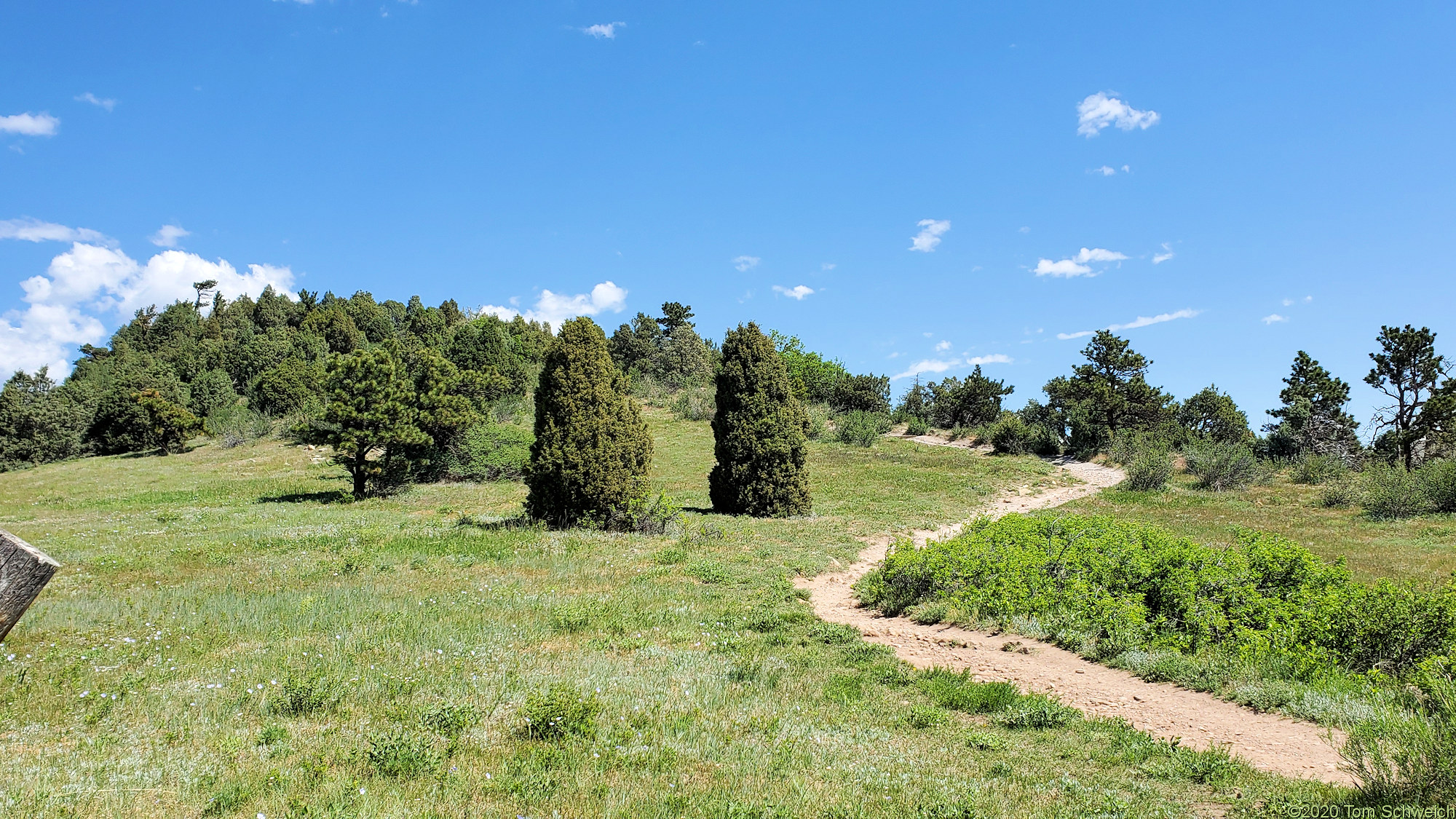 Colorado, Jefferson County, Dinosaur Ridge