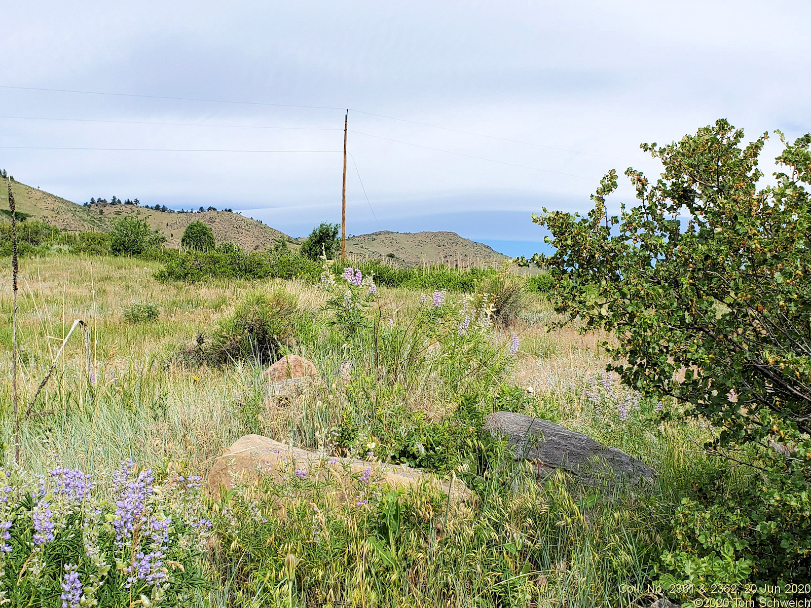 Colorado, Jefferson County, Survey Field