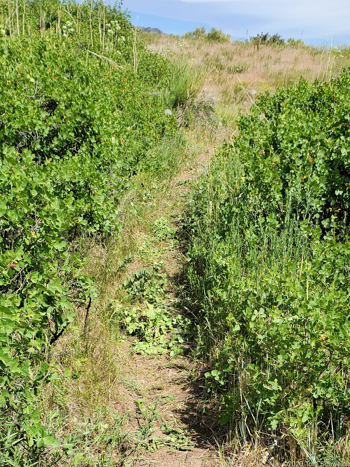 Colorado, Jefferson County, Survey Field