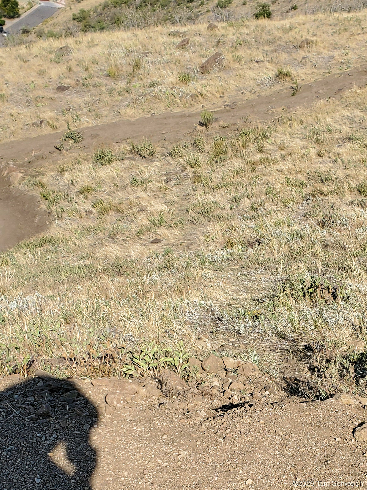 Colorado, Jefferson County, South Table Mountain, Lubahn Trail