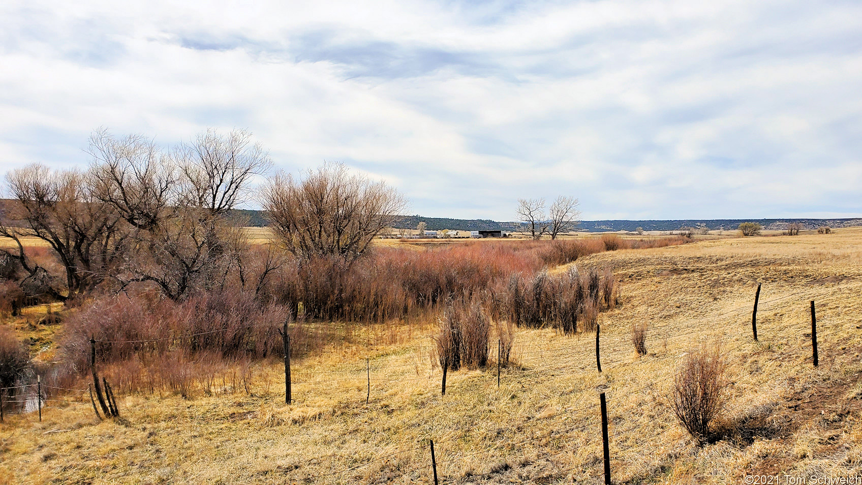 New Mexico, Mora County, Wolf Creek