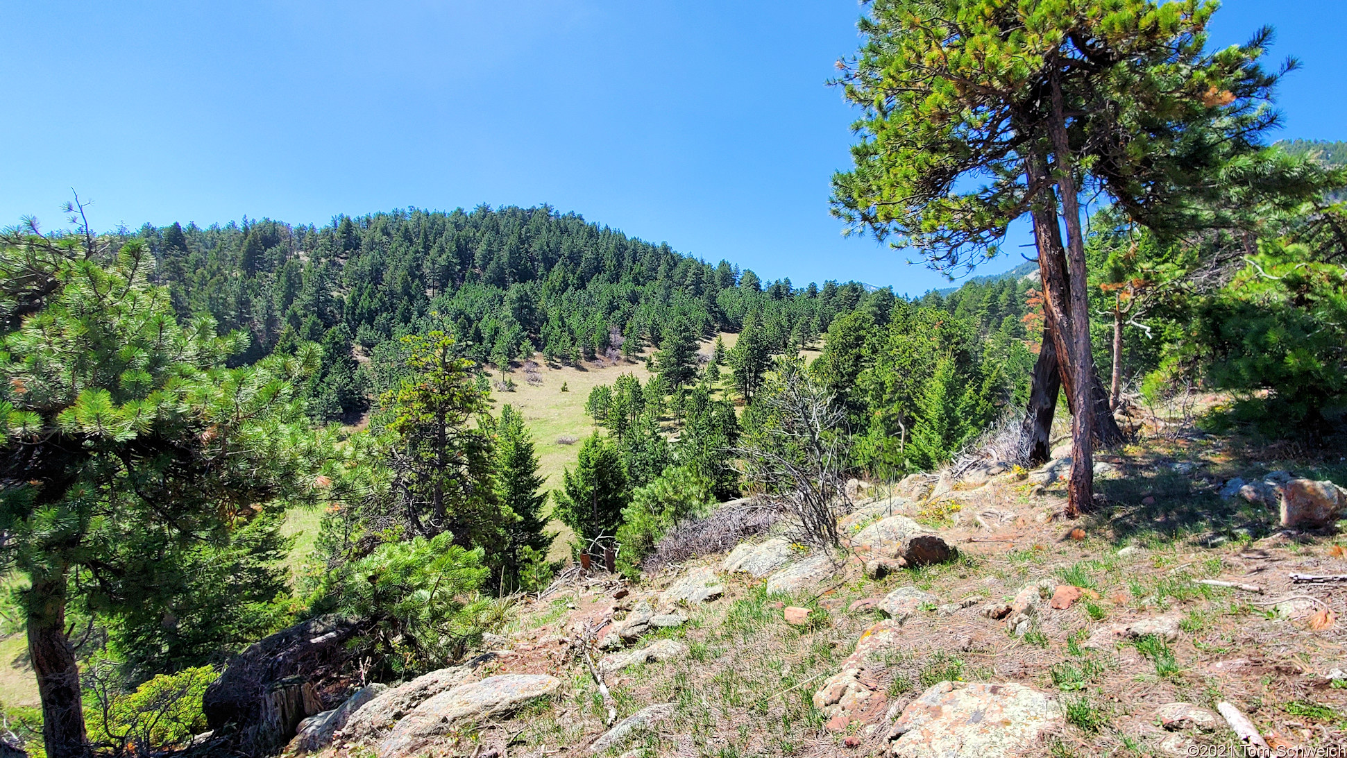 Colorado, Boulder County, Lippincott Ranch