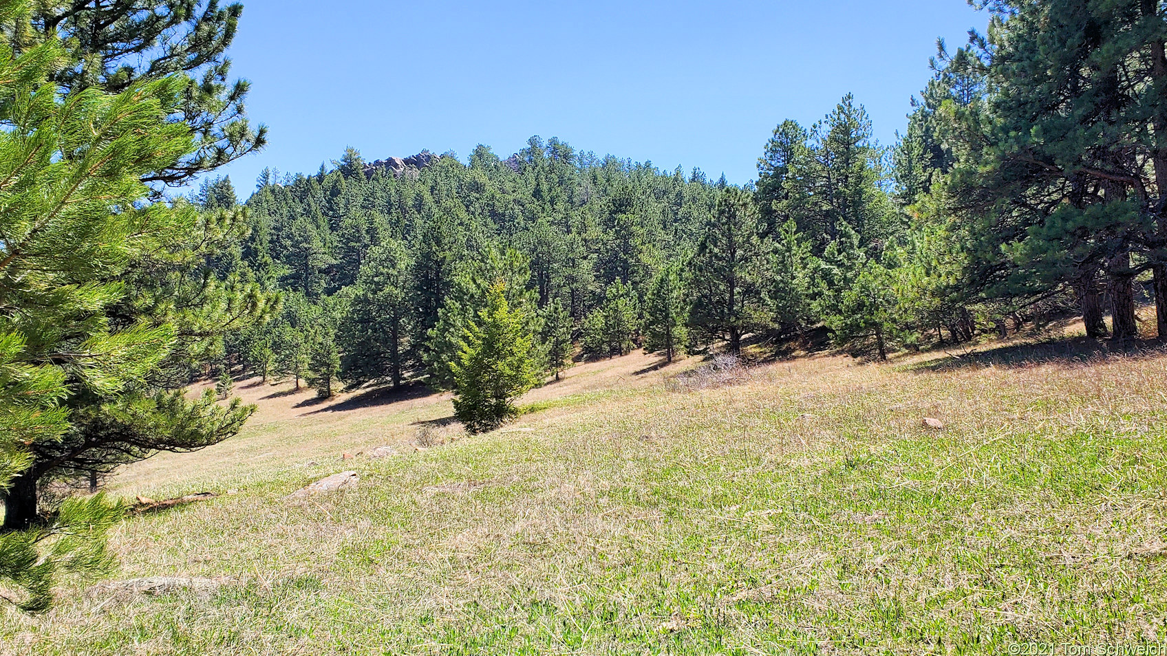 Colorado, Boulder County, Lippincott Ranch