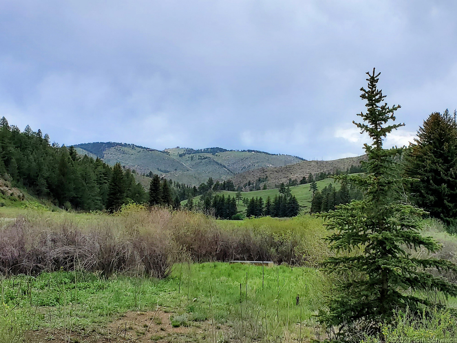 Colorado, Jefferson County, Pine Valley Ranch Park