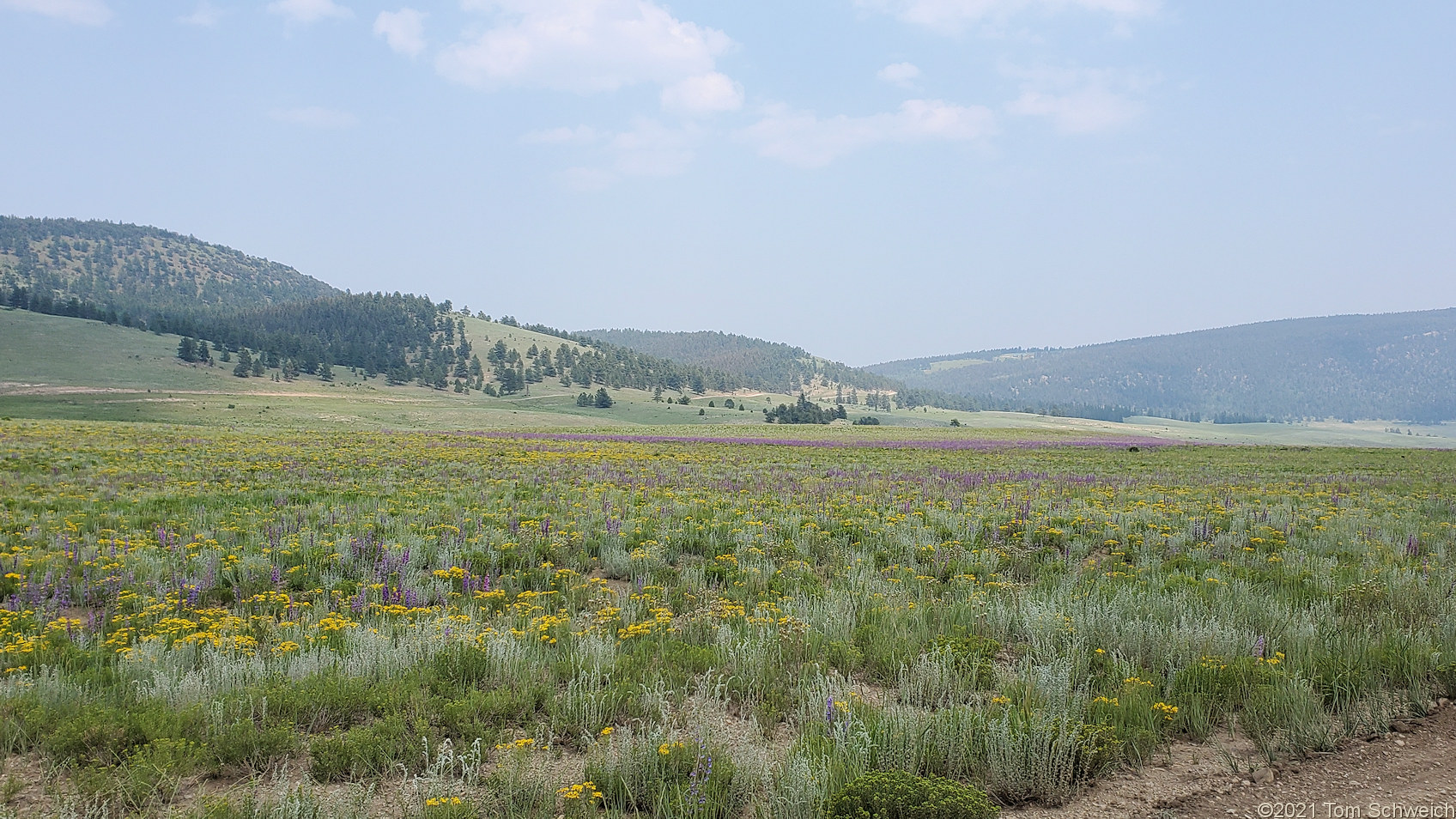 Colorado, Chaffee County, Chubb Park