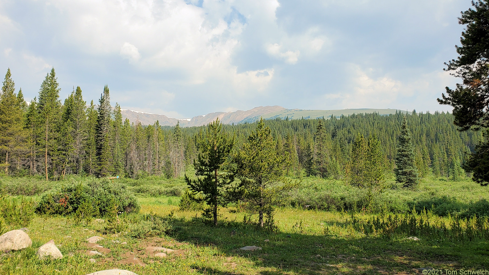 Colorado, Lake County, Lily Lake