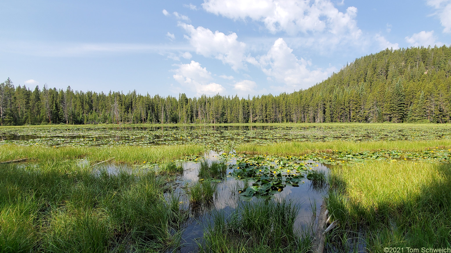 Colorado, Lake County, Lily Lake