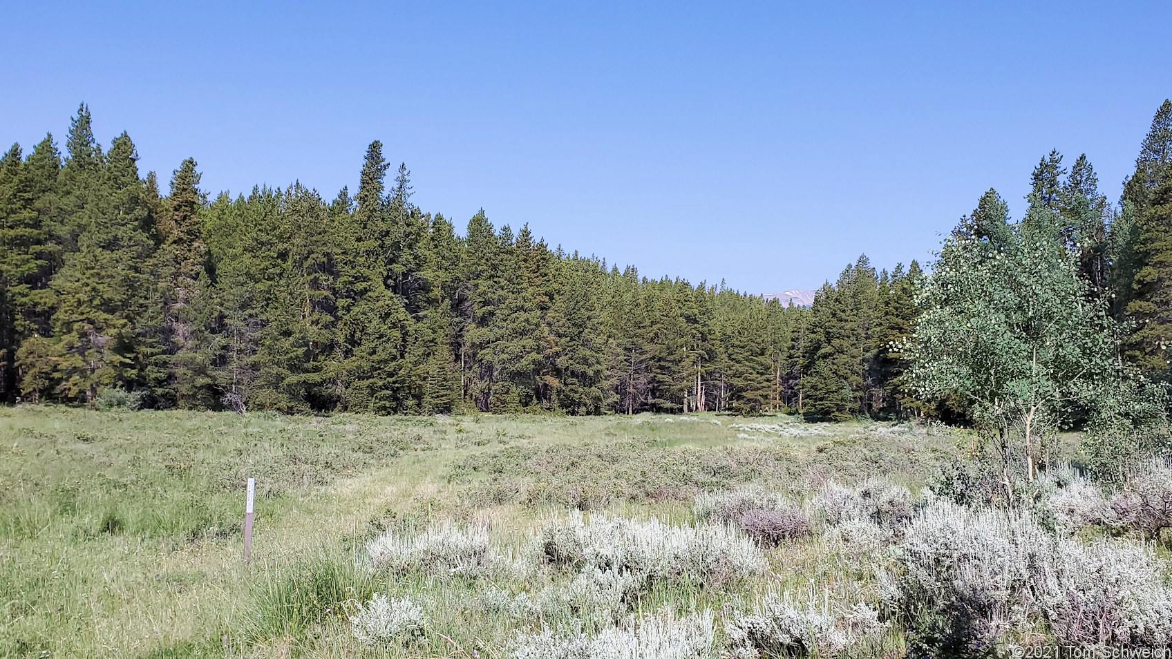 Colorado, Lake County, Unnamed Meadow