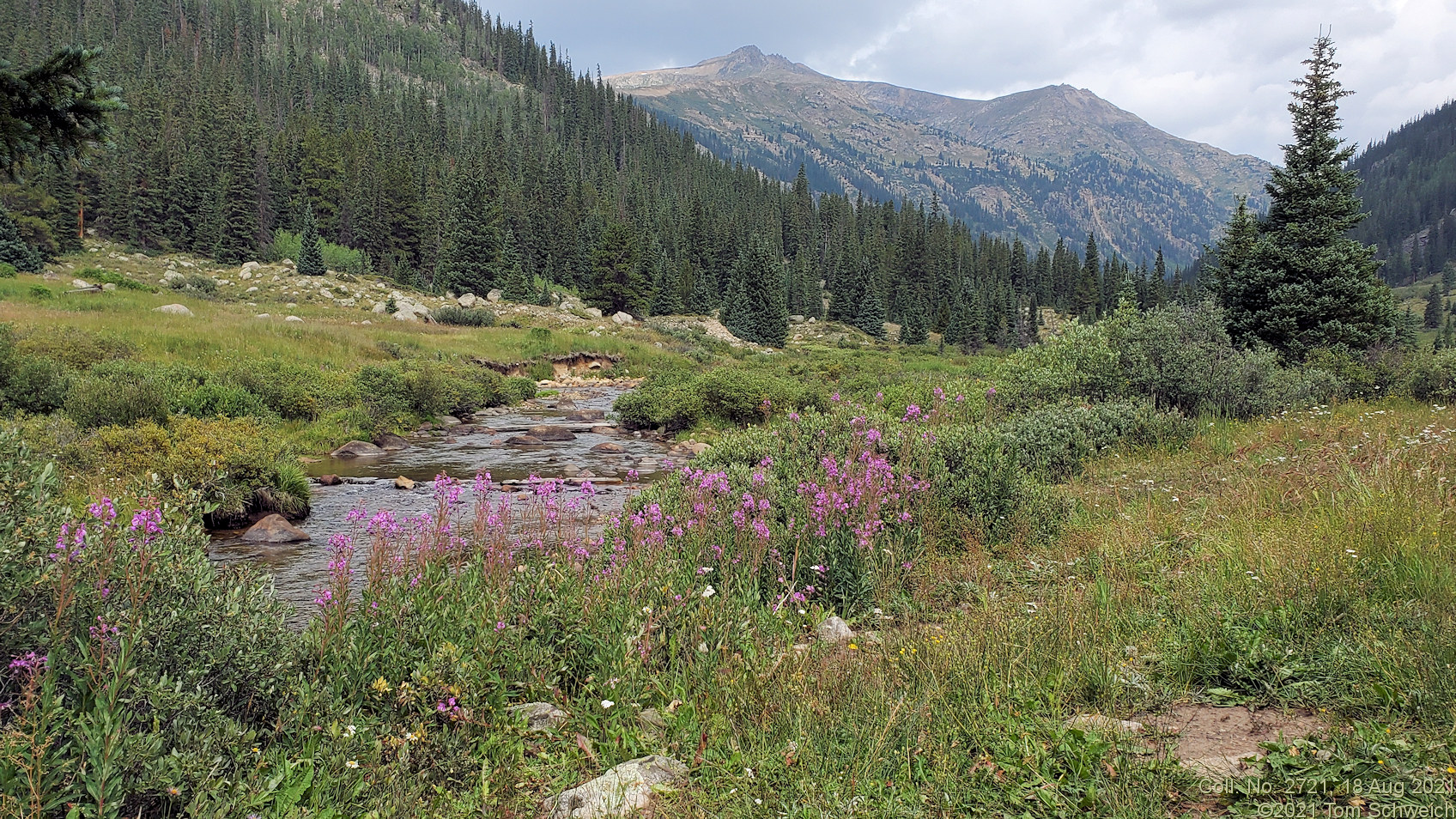 Colorado, Lake County, Brumley