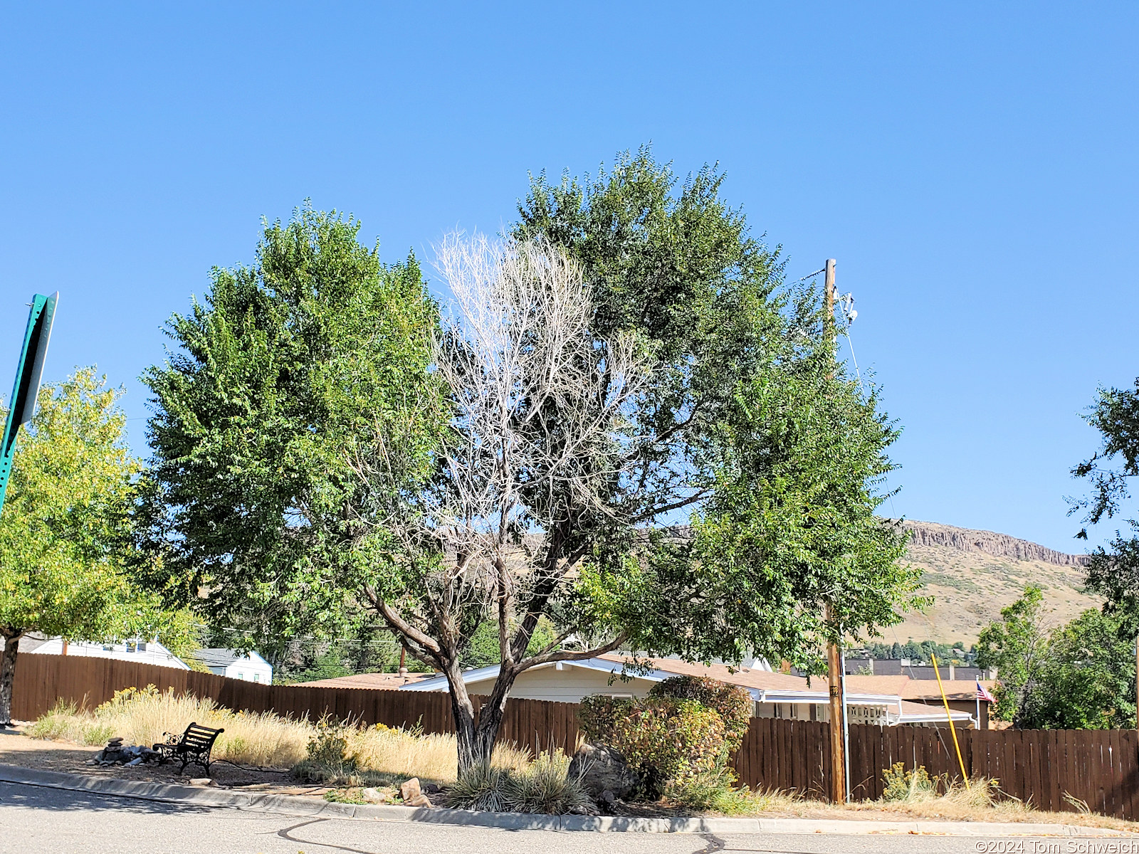 Colorado, Jefferson County, Golden, North Historic Neighborhood