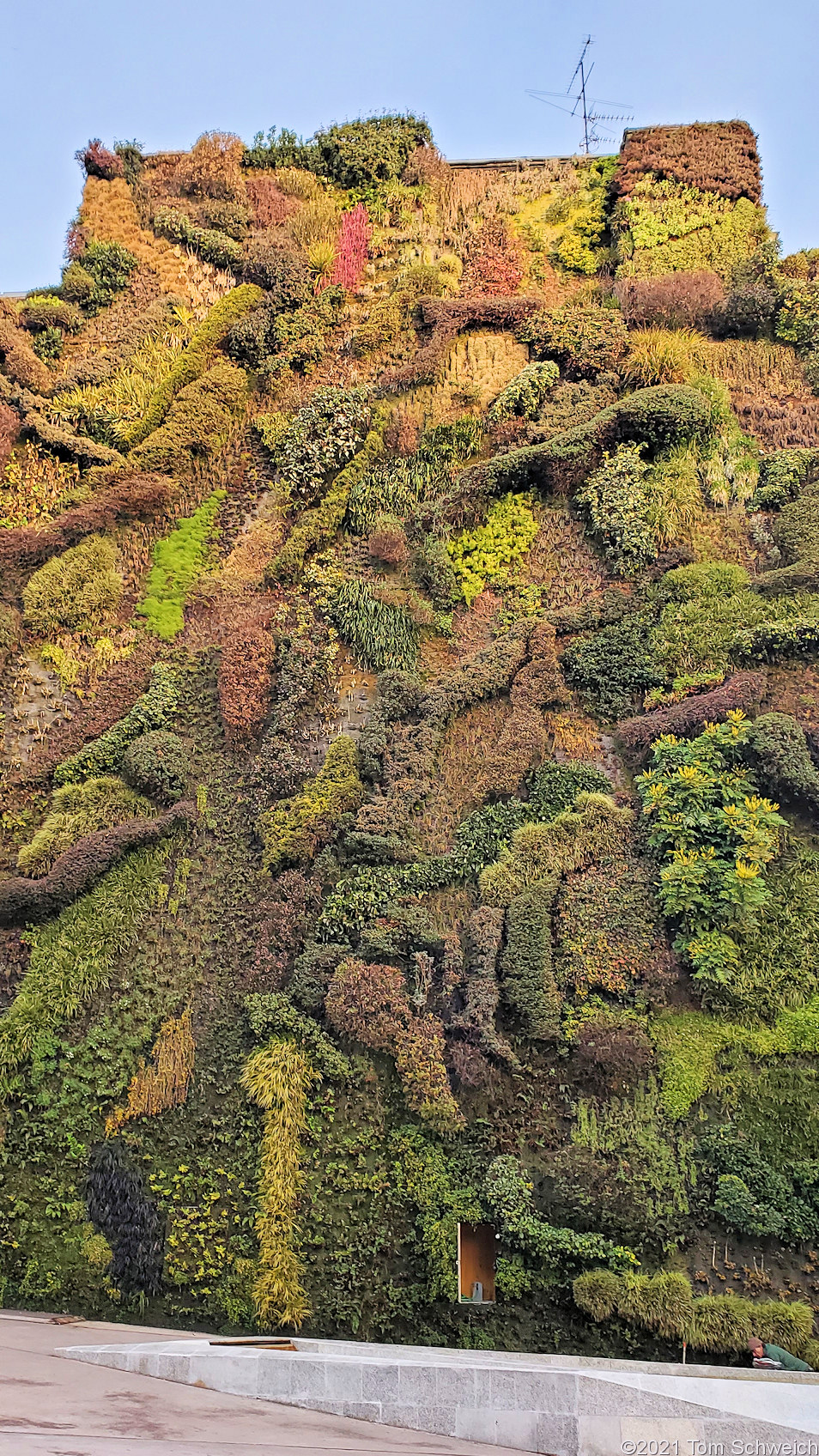 Living Wall, Madrid, Spain