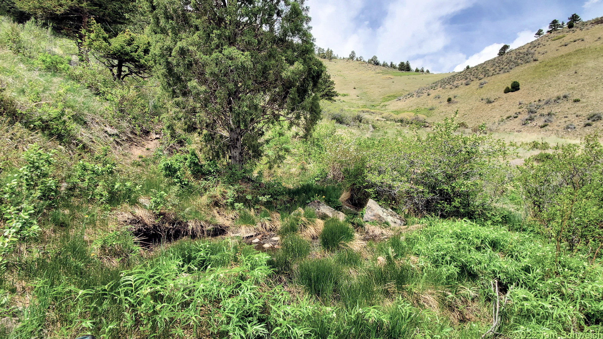 Colorado, Jefferson County, Windy Saddle Park