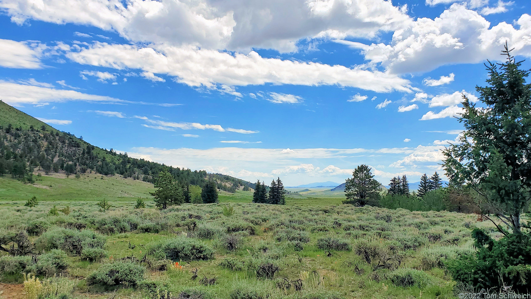 Colorado, Park County, Salt Creek