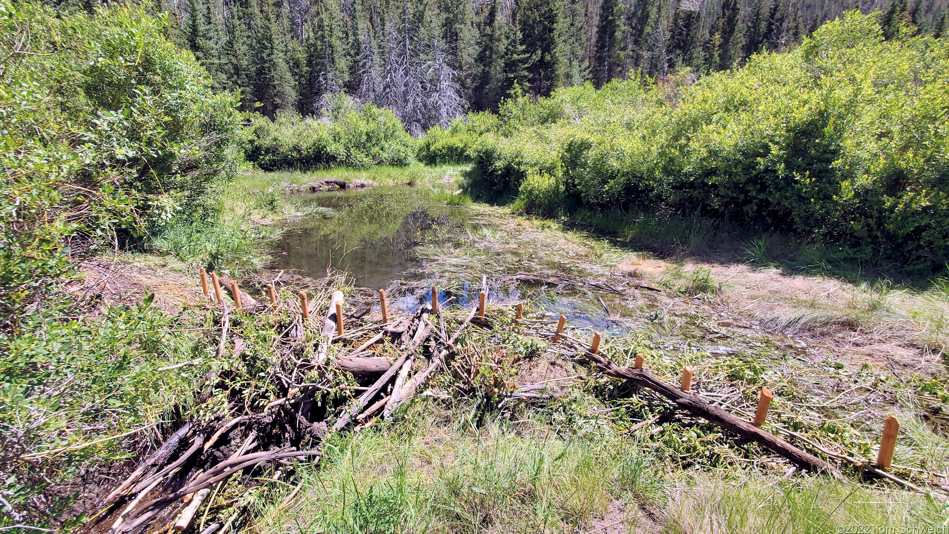 Colorado, Park County, Salt Creek