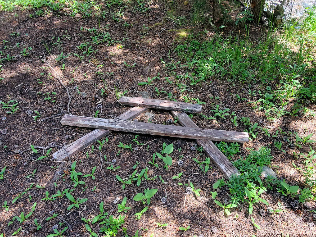 Colorado, Lake County, West Tennessee Creek