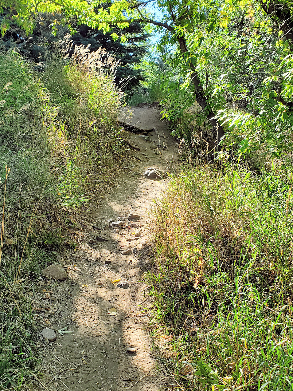 Tucker Gulch Trail, City of Golden, Jefferson County, Colorado