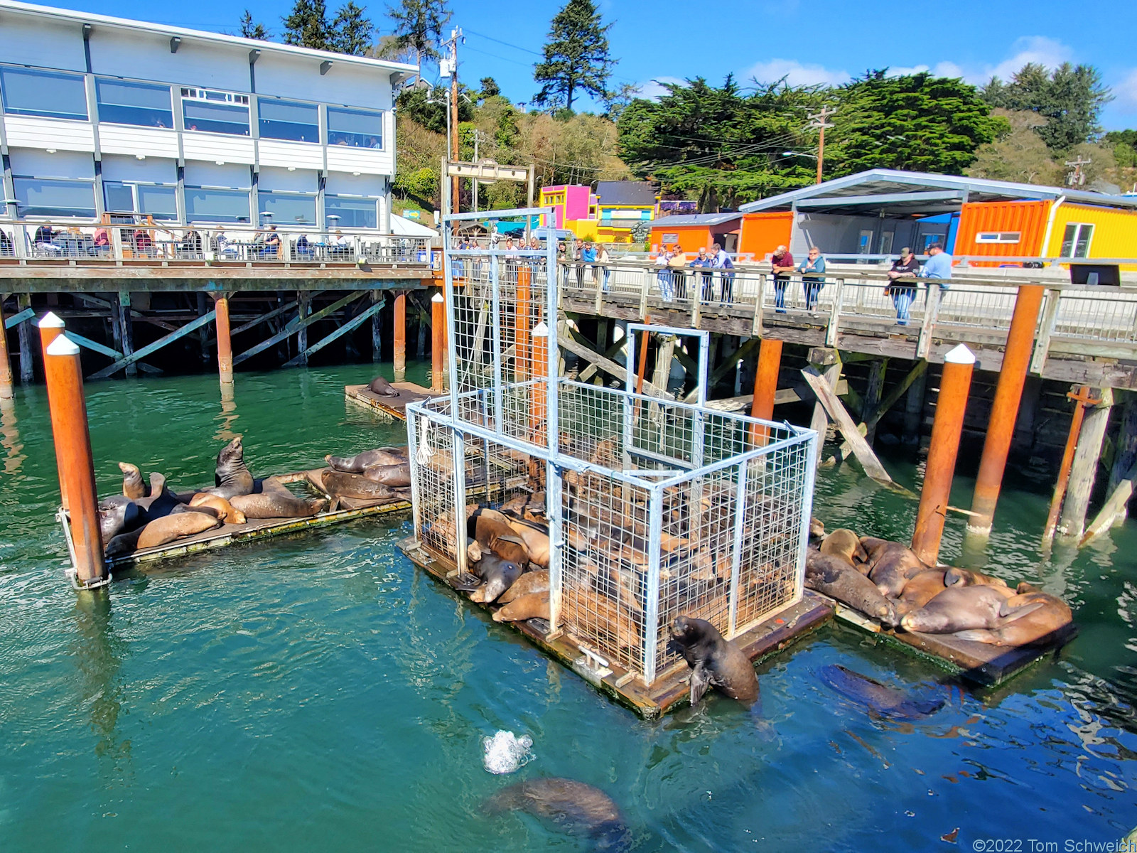 Oregon, Lincoln County, Newport, Yaquina Bay