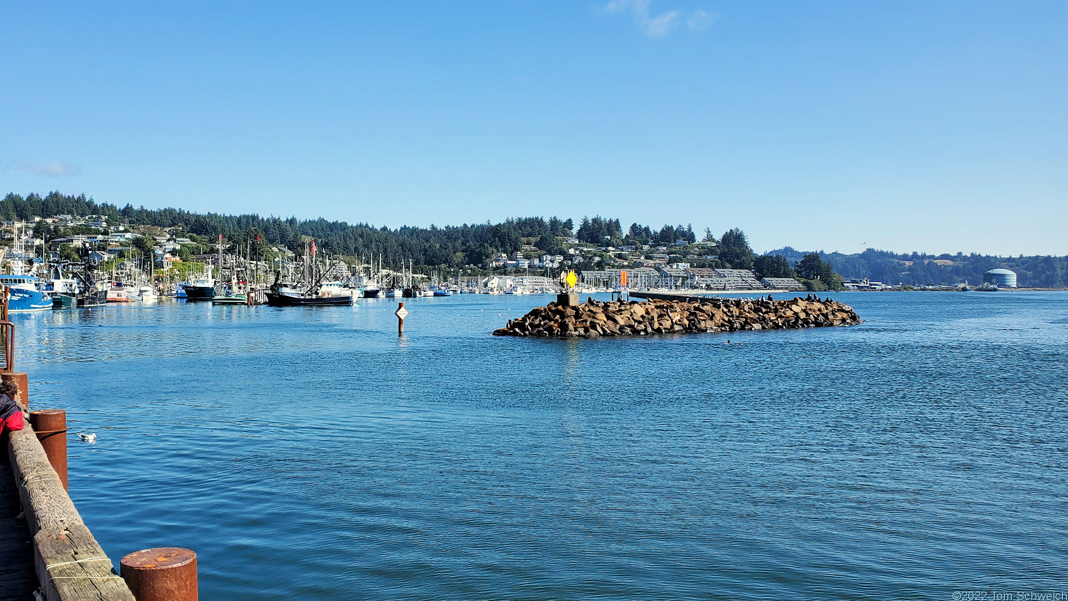 Oregon, Lincoln County, Newport, Yaquina Bay