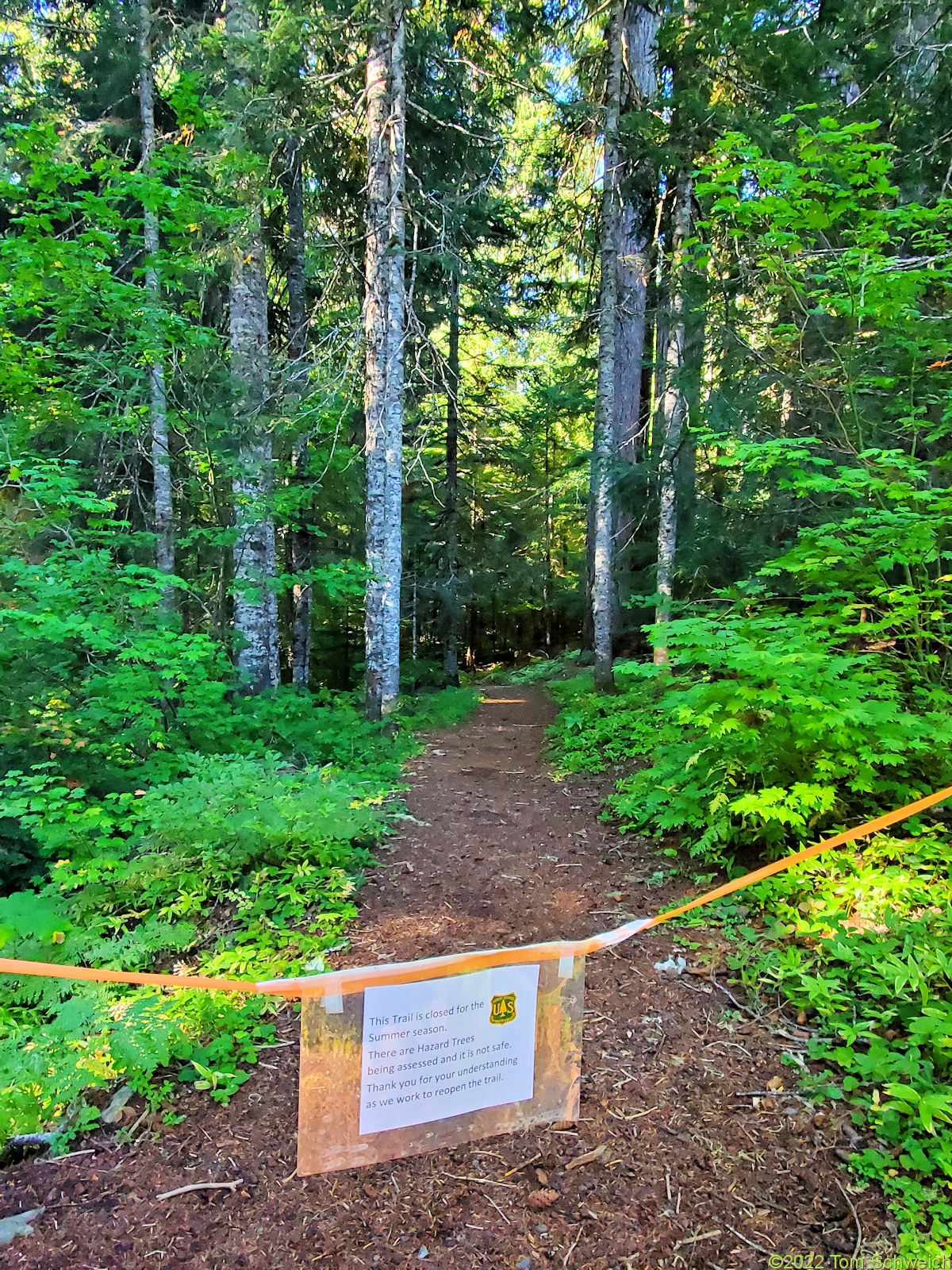 Oregon, Linn County, Hackleman Old Growth Grove