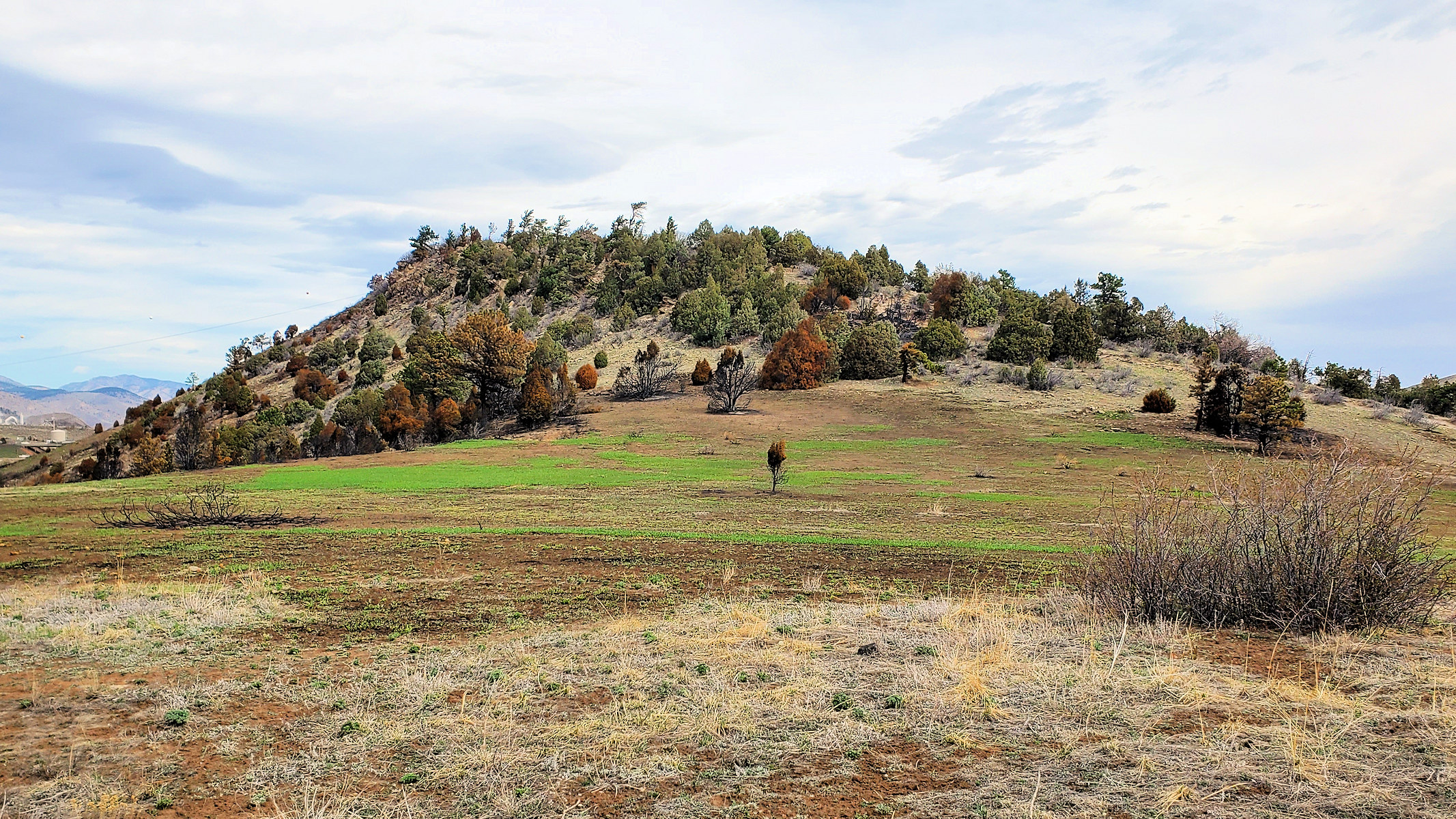 Dinosaur Ridge